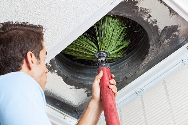 Best Air Duct Sanitization & Disinfection in Ashland, AL